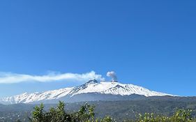 Vista Etna House